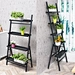 Metal ladder flower shelf rack Supplier